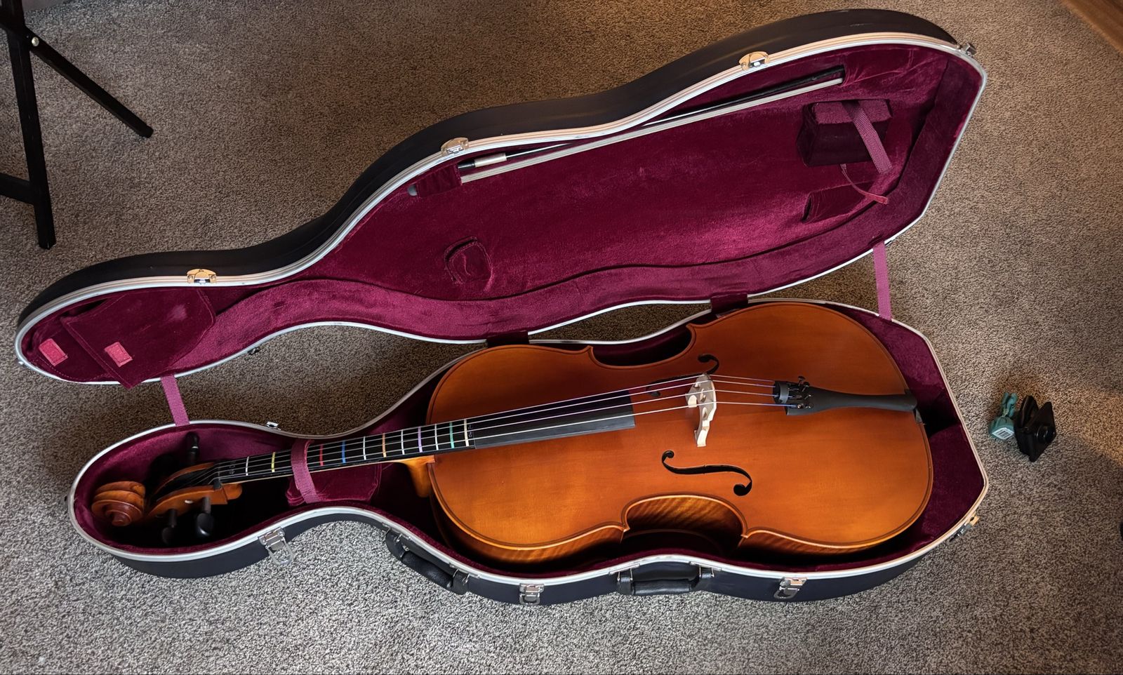 Eastman Strings Giuseppe Galiano Series 1 Cello with Hard Case - Full Size