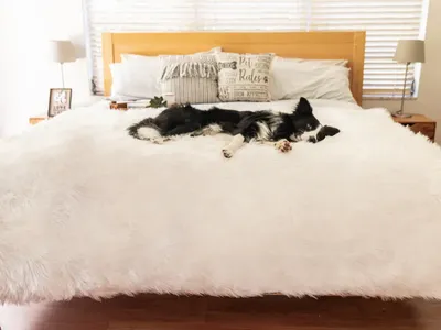 PAW BRANDS PupProtector Waterproof Luxury Throw Blanket (Polar White, King (80"L x 62"W))