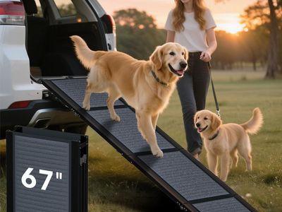 New 67" Long & 17.3" Wide Folding Dog Ramp for Car, SUV & Truck – Portable Pet Ramp
