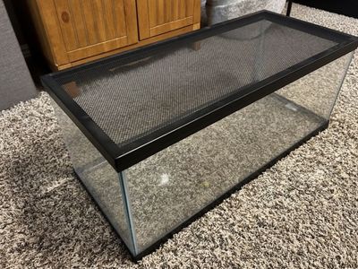 20 Gallon Fish Tank + Lid!