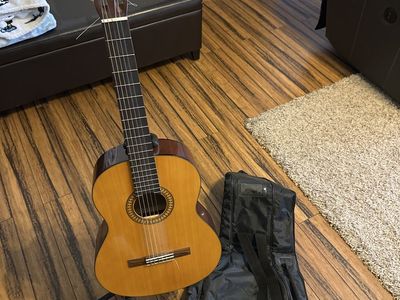 Acoustic Guitar