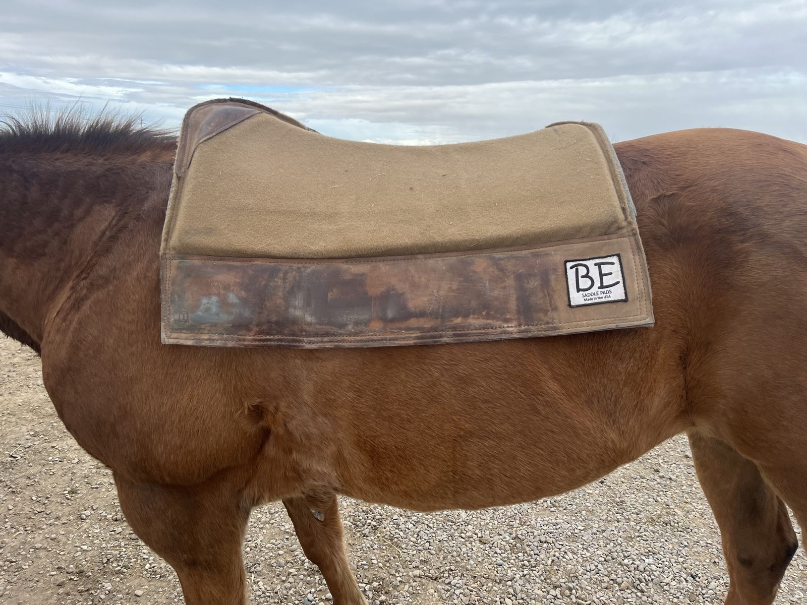 BE saddle pad