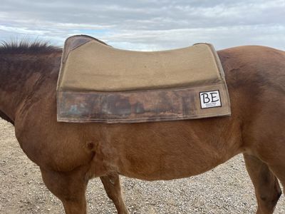 BE saddle pad