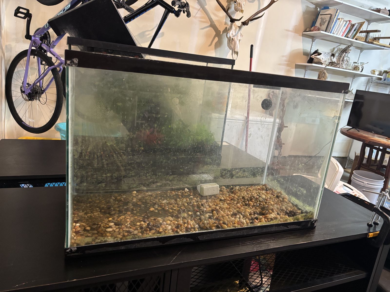 29 Gallon Fish Tank/Aquarium