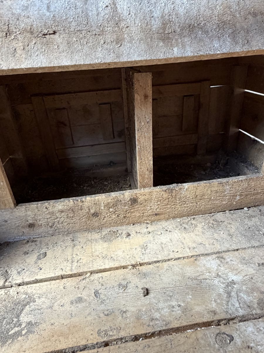 Main image 5