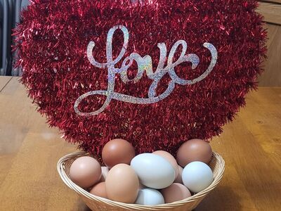 Unwashed Free Range Chicken Eggs