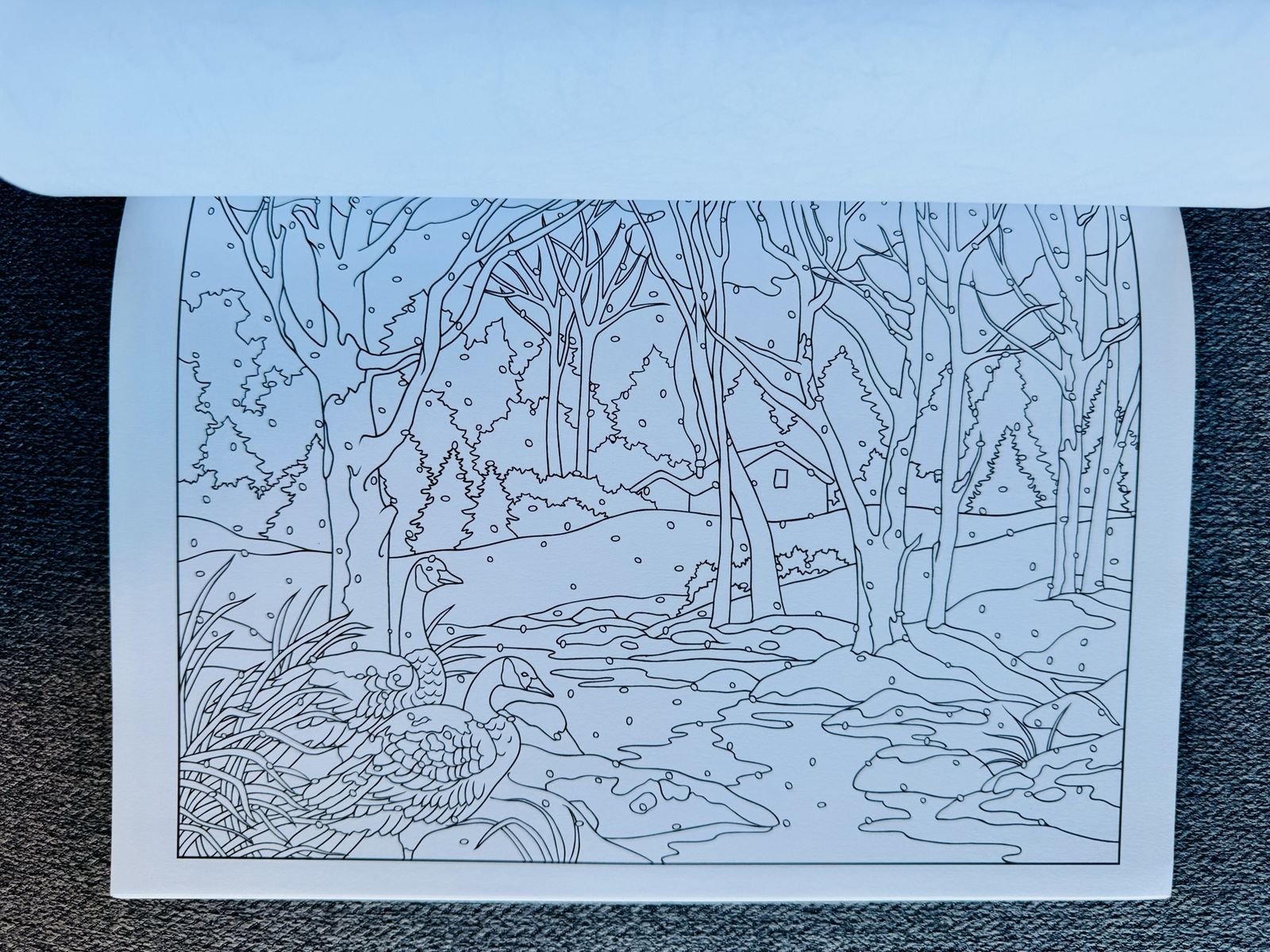 Main image 5