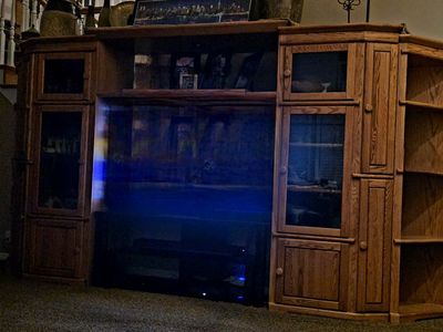 Oak Entertainment Center