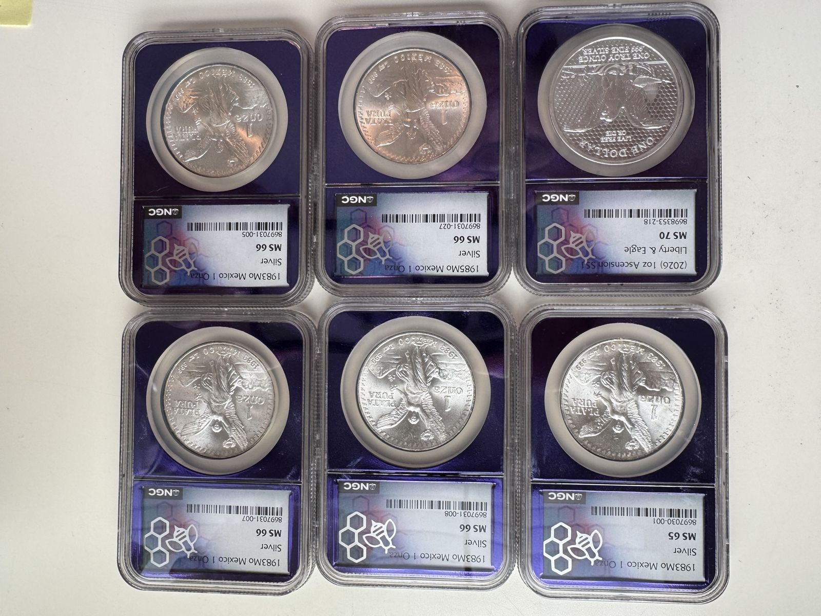 Lot of 12 Silver coins all graded Eagles, Libertads