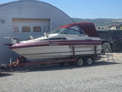 1987 SeaRay 24ft boat