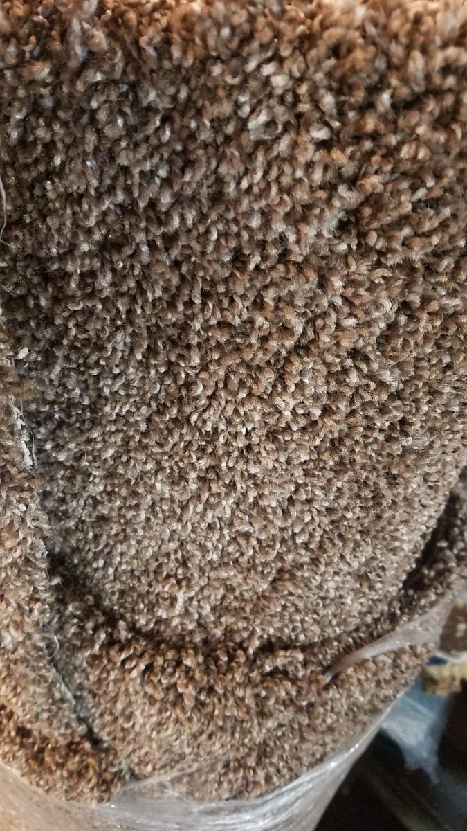 Carpet Remnant New big enough for stairs $120