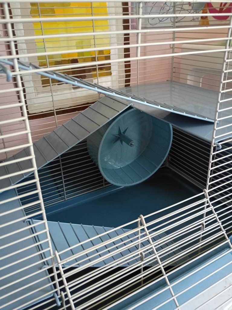 Main image 3