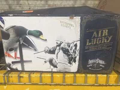 Air activated spinning wind decoy