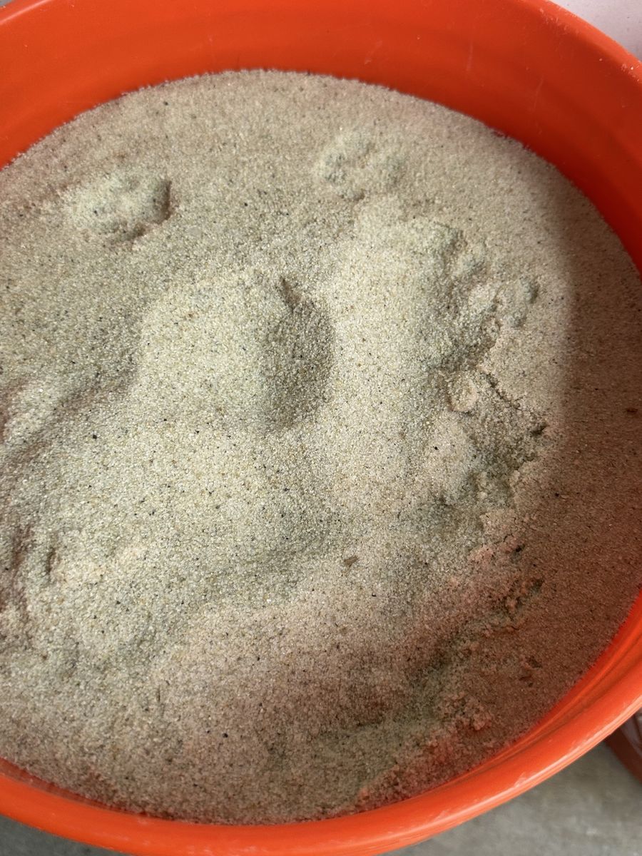 Aquarium sand 60 LBS
