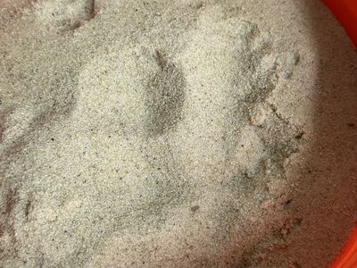 Aquarium sand 60 LBS
