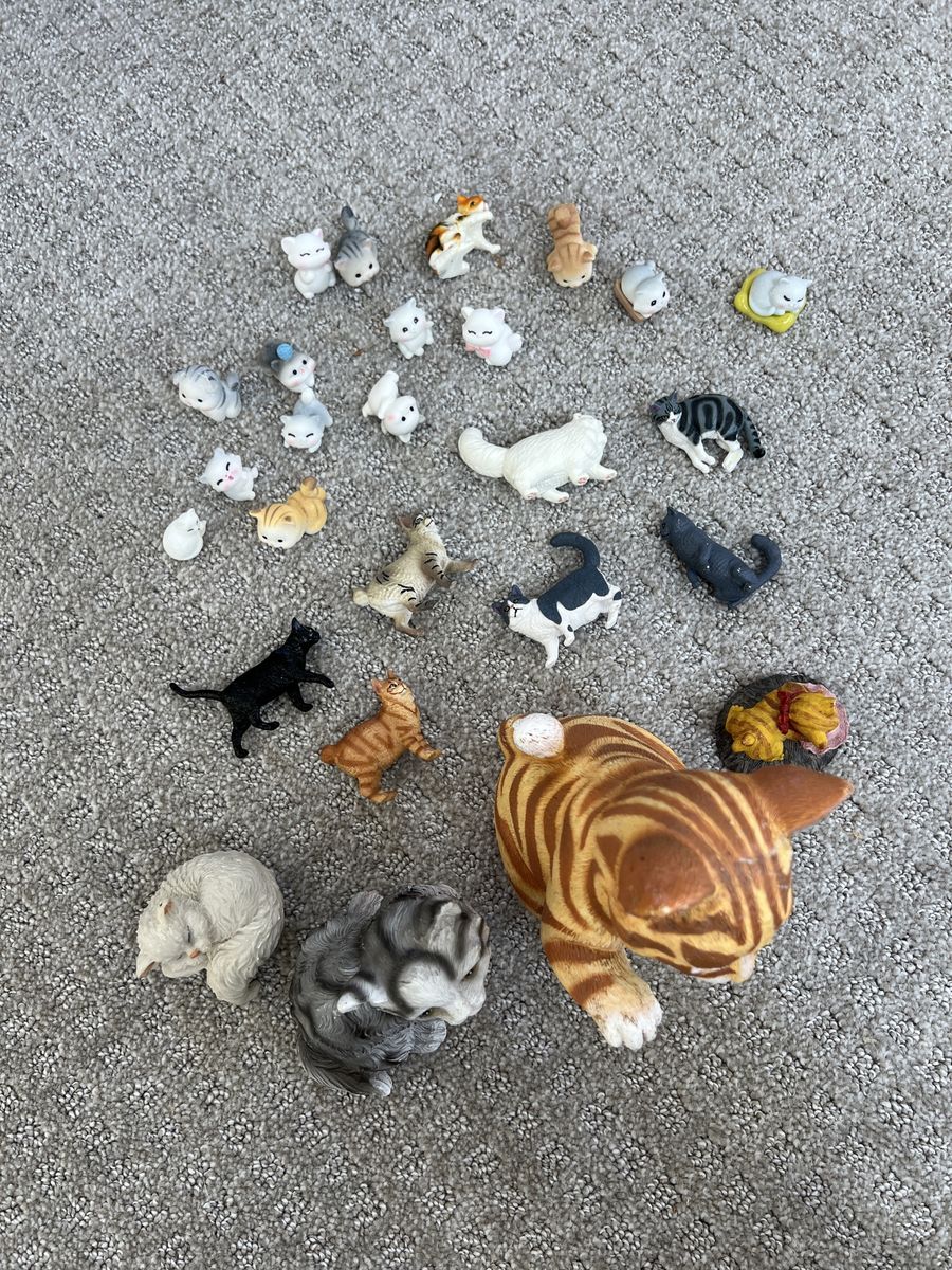 Cat Bundle