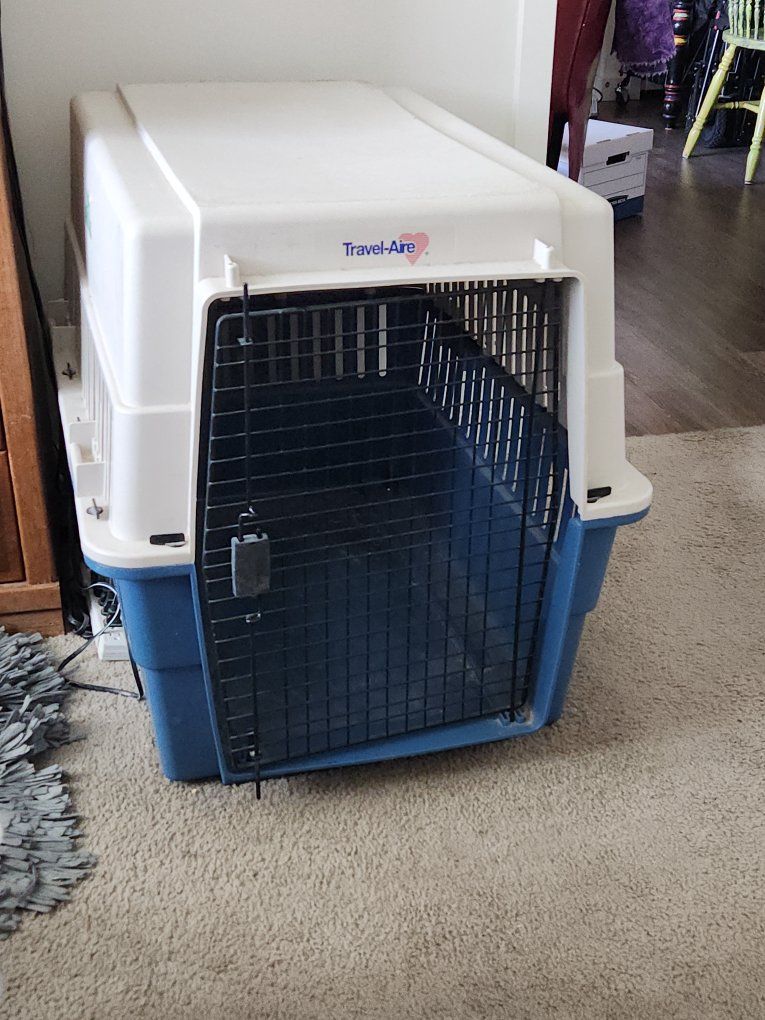 Dog Kennel
