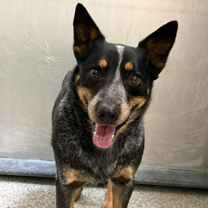 Hello my name is Shawn