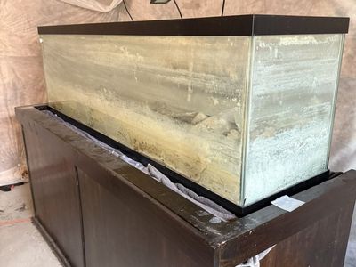 125 Gallon Fish Tank And Stand