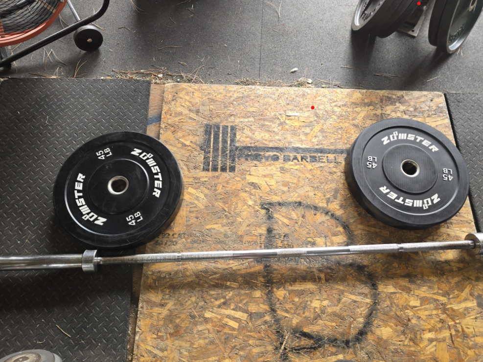 CAP Powerbar and Bumper Plates $135