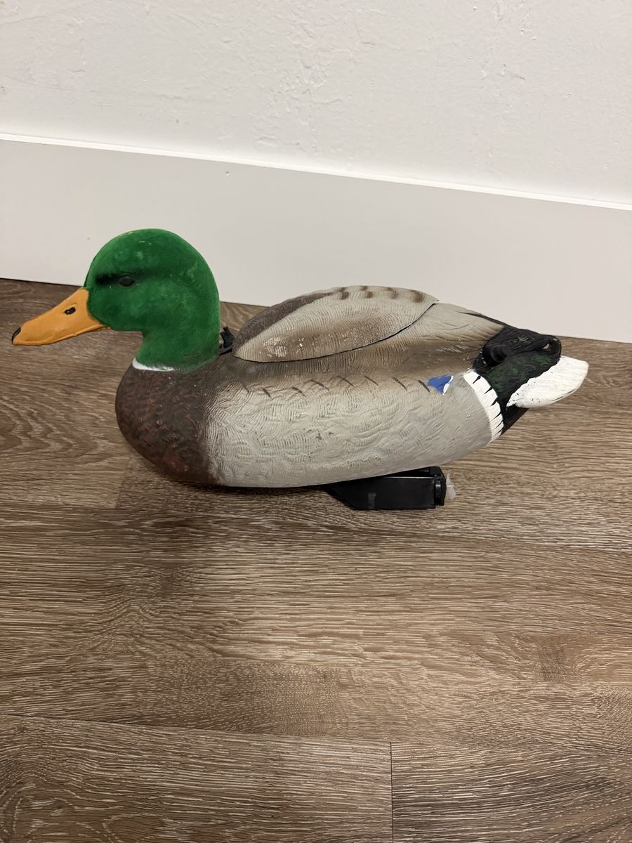 The Real Decoy Swimmer Drake Mallard Flocked