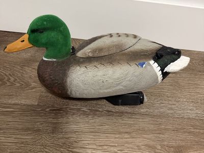 The Real Decoy Swimmer Drake Mallard Flocked