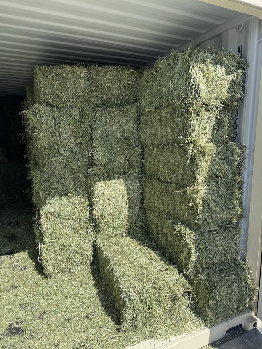 Grass Hay Bales - out of Morgan