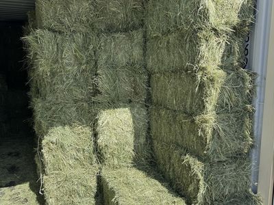 Grass Hay Bales - out of Morgan