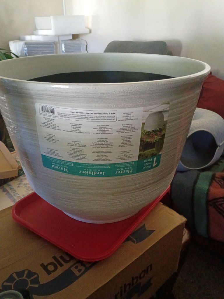 Large Textured Gray Garden Planter Pot