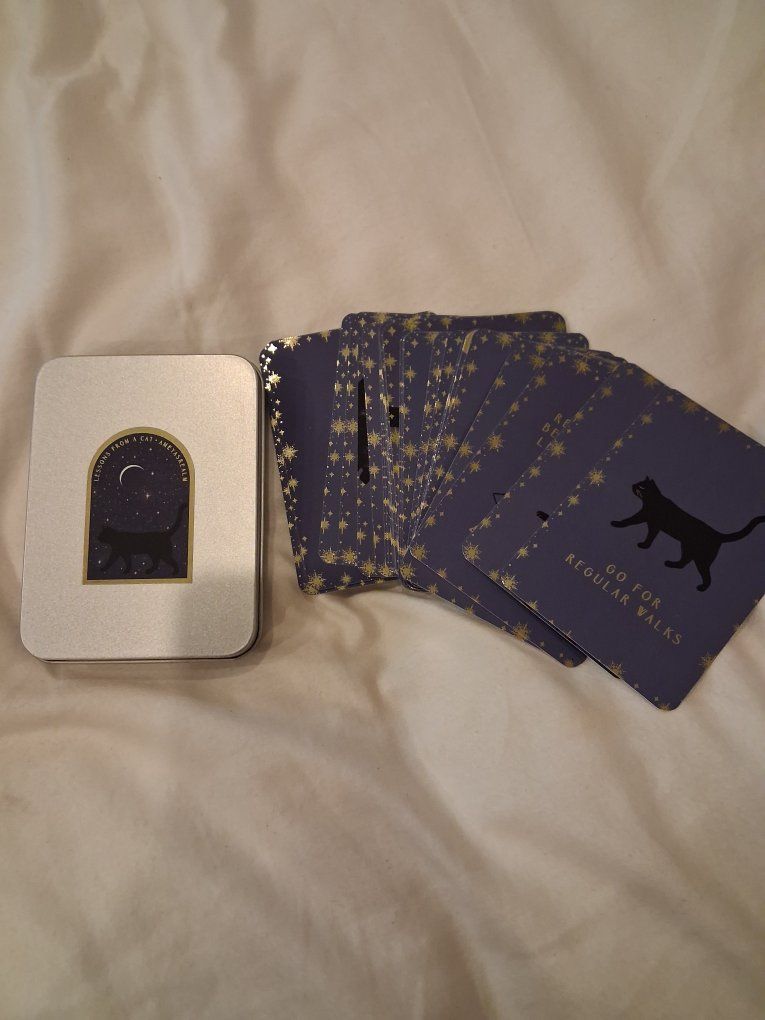 Lessons From a Cat - Oracle Deck with Metal Tin