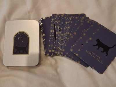 Lessons From a Cat - Oracle Deck with Metal Tin