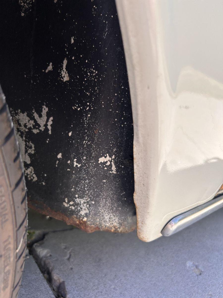 Main image 31