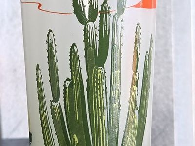 Pair of "Oregon Pipe" 1950s/1960s Blakely Oil & Gas "Arizona Cactus" frosted glasses