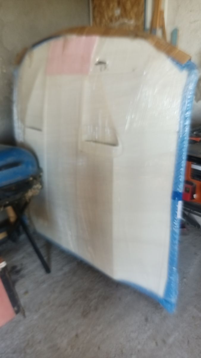 Mustang Tru fiber A29 hood