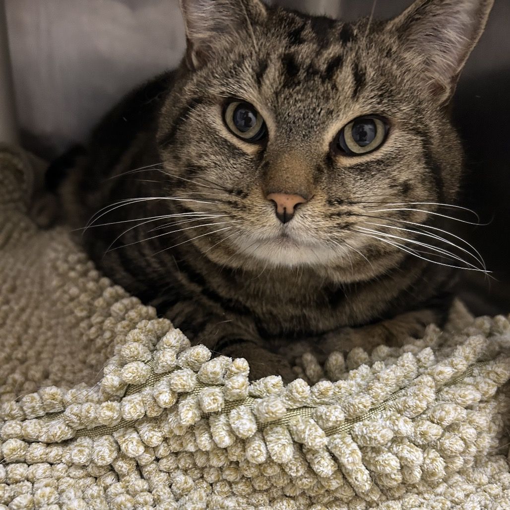 Hello my name is Quentin