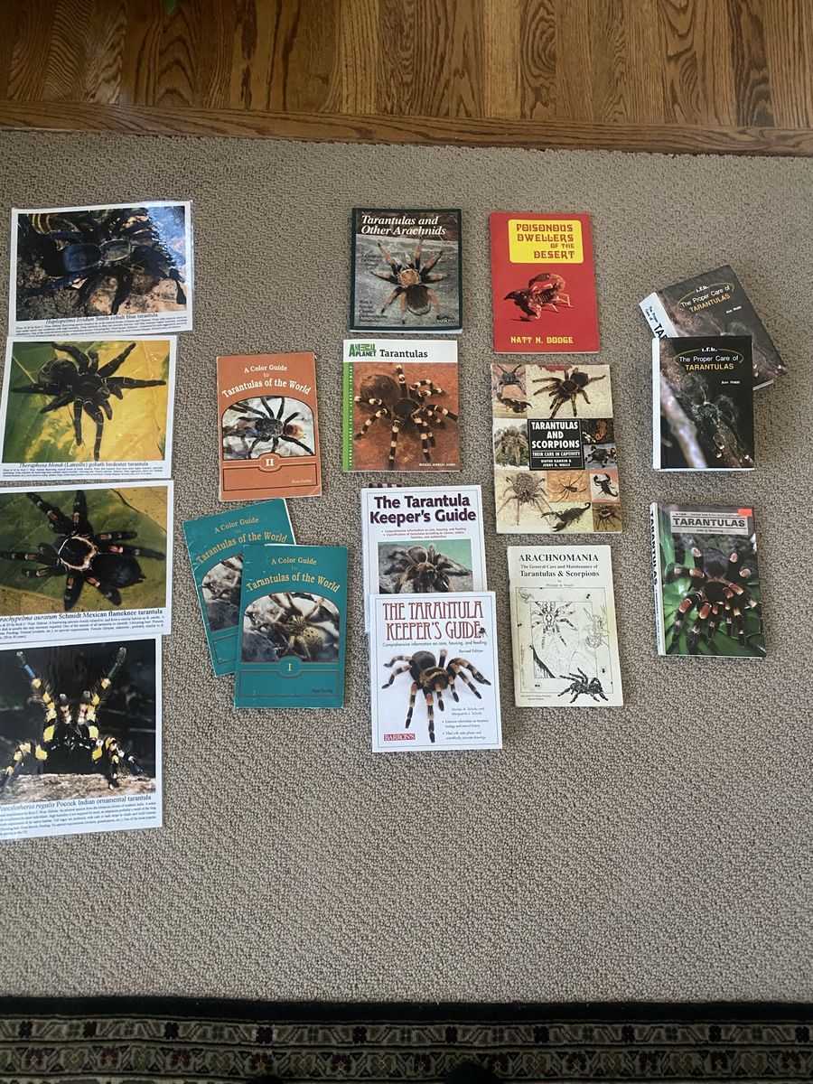 Tarantula books