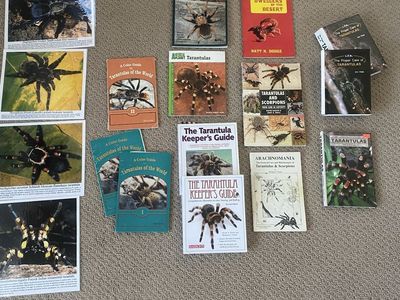 Tarantula books