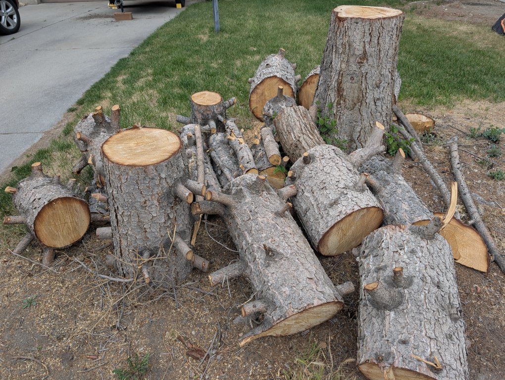 free firewood -pine
