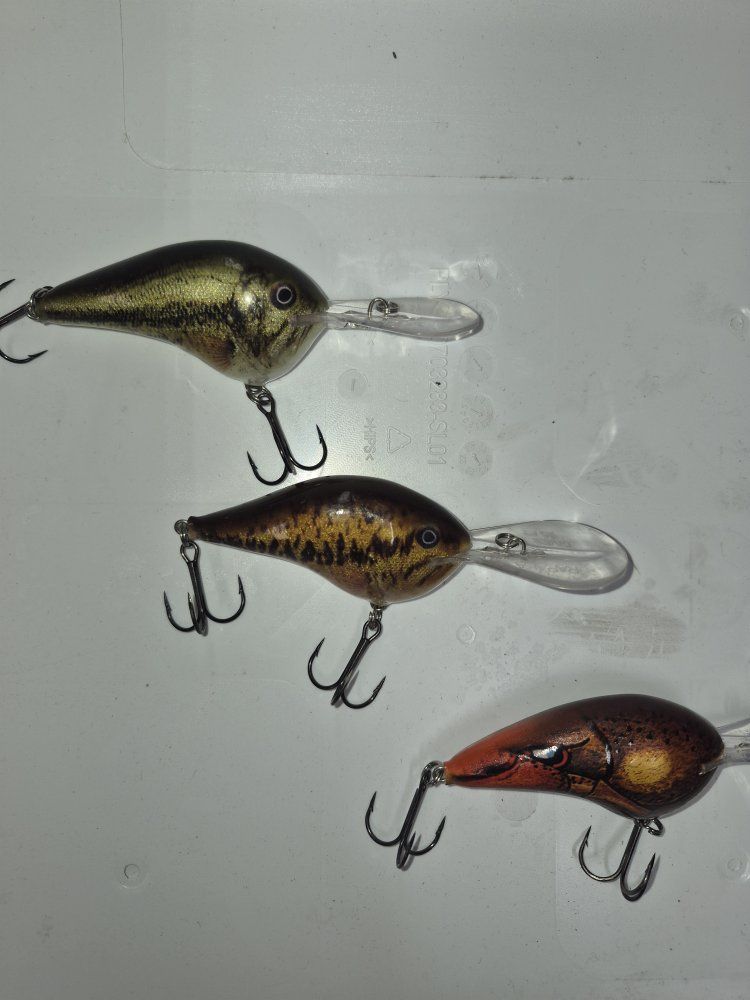 rapala fishing lures