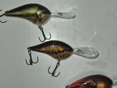 rapala fishing lures