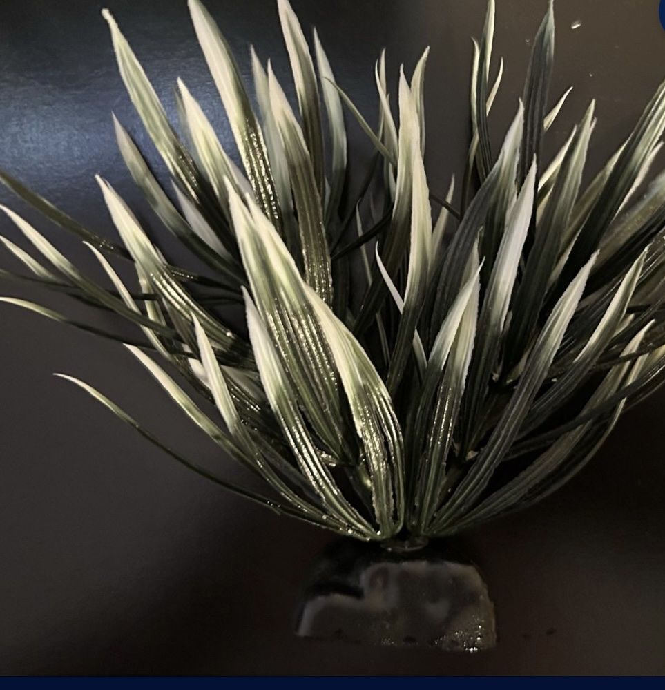 Main image 3