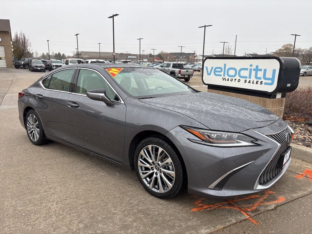 2019 Lexus ES Luxury