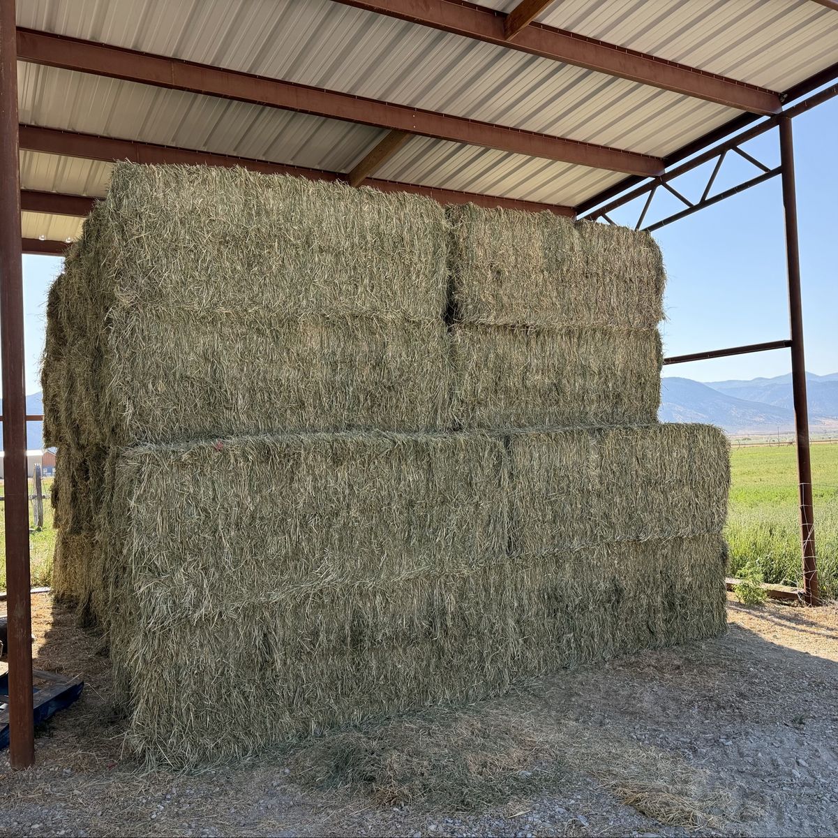 Premium Alfalfa Orchard Grass Mix Hay Bales - 3x4 Size, Nearly Weed-Free