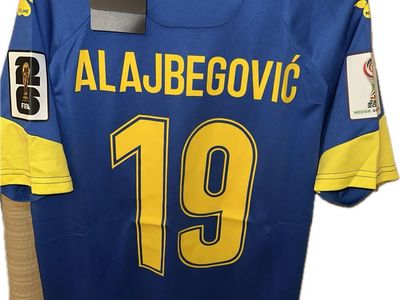 Bosnia And Herzegovina Soccer Jersey Alajbegovic19