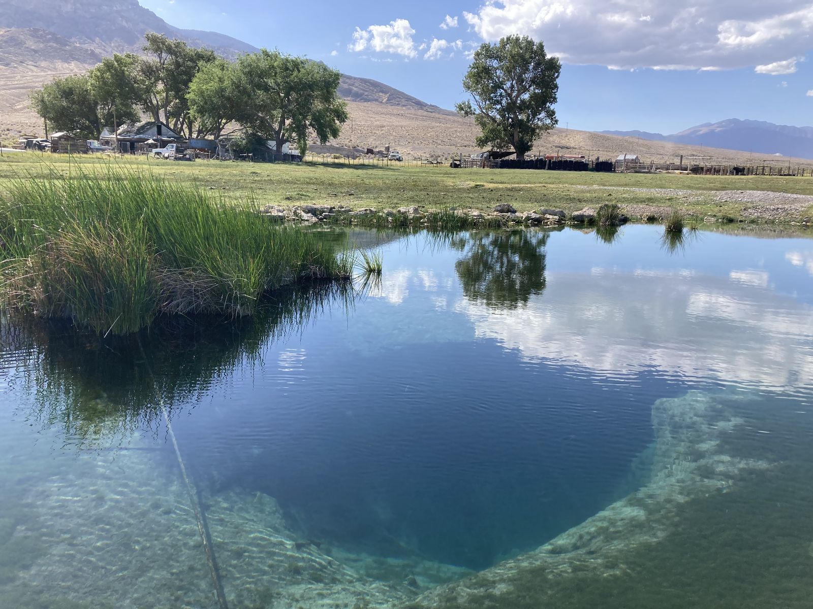 Blue Eagle Ranch