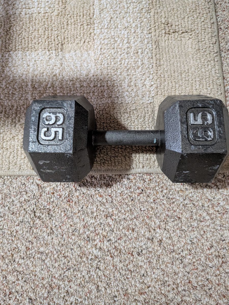 65lb Hex Head Dumbbell - Single Weight