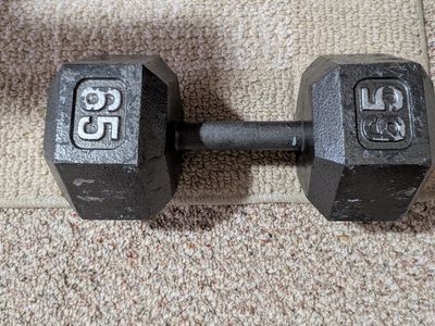 65lb Hex Head Dumbbell - Single Weight