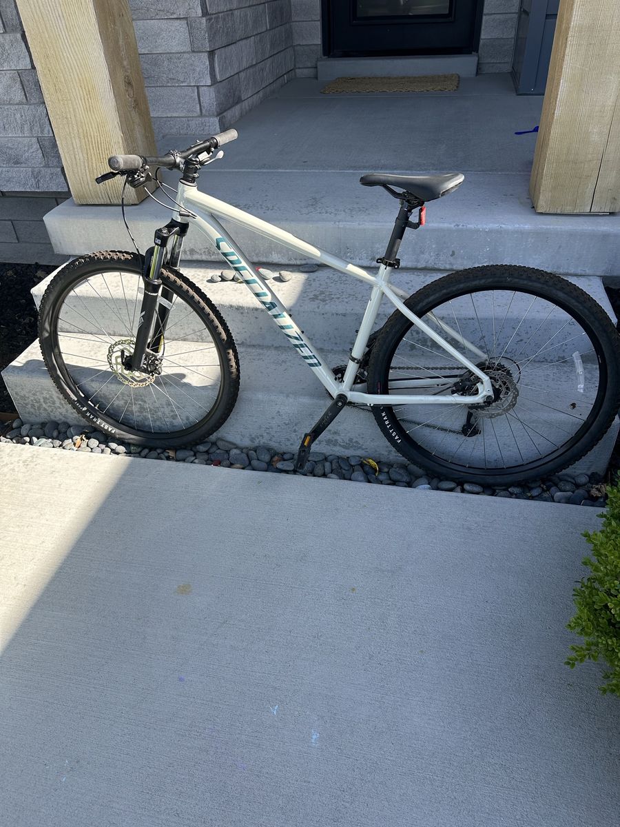 2023 Specialized Rockhopper Sport (L)