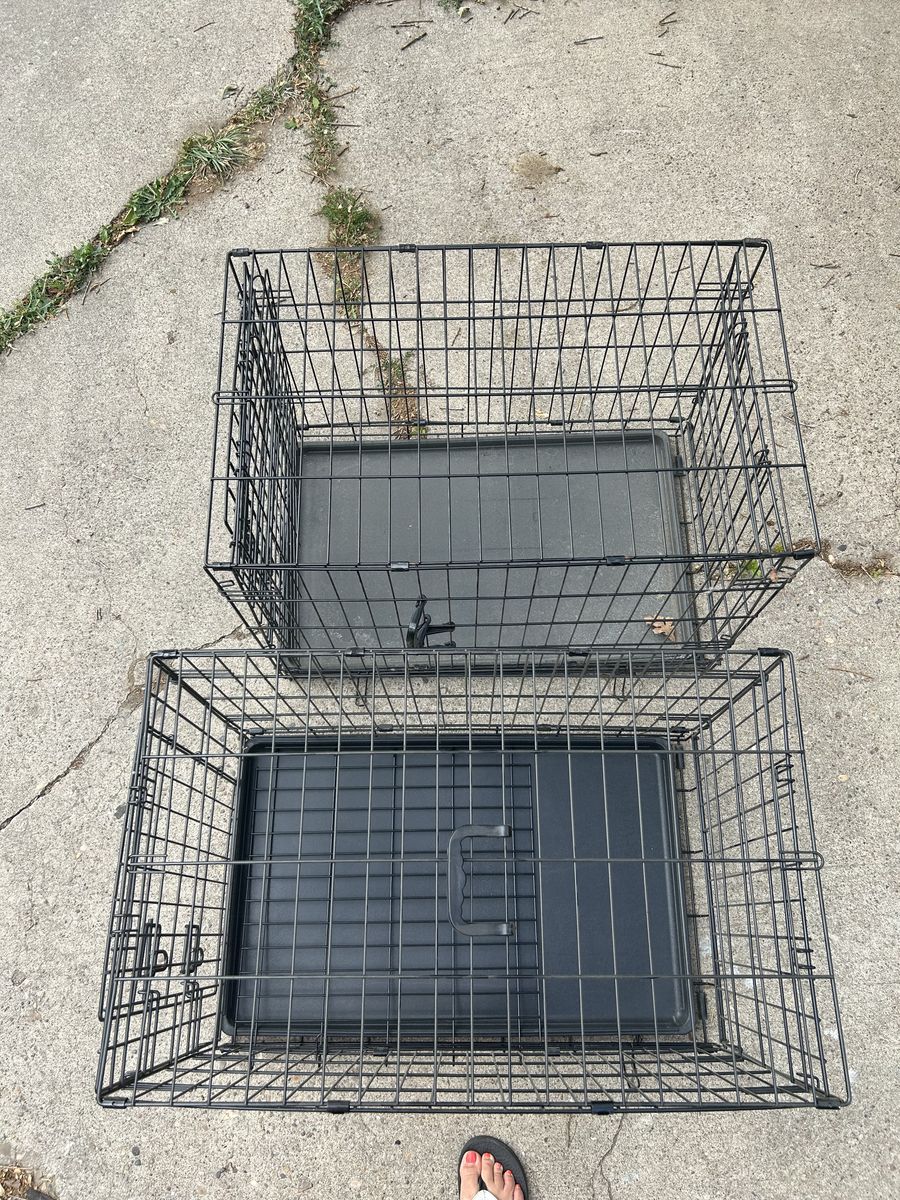 2 medium wire dog crates