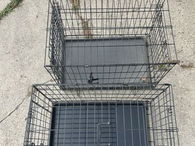 2 medium wire dog crates